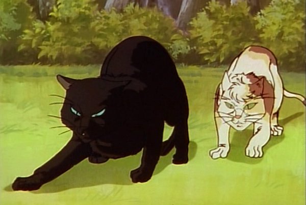 Dark Cat - Movie Review Dark Cat - Movie Review