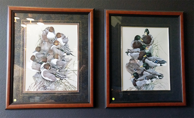 Two framed pieces of duck artwork showing lots of ducks