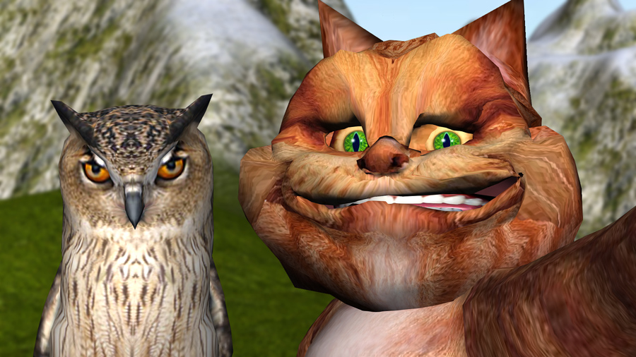 Orange Cat smiling and taking a selfie with an owl