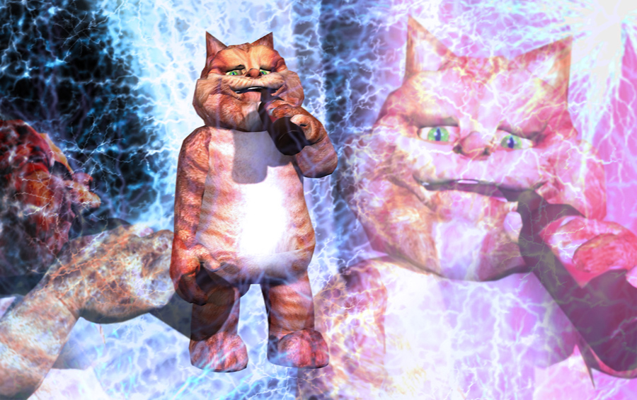 Orange Cat drinking from a bottle; close-ups of Orange Cat drinking are overlaid on top, slightly transparent